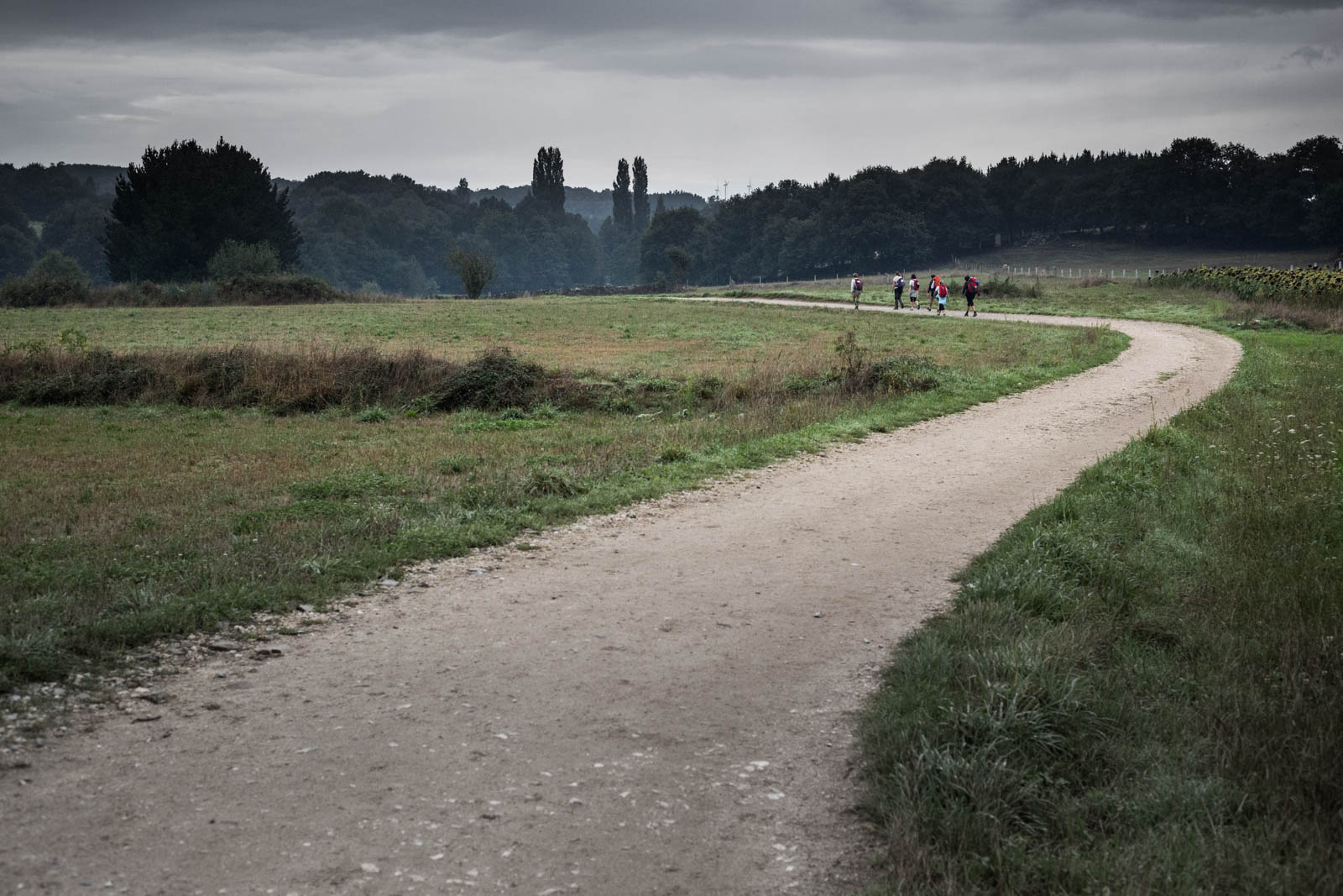 Articolo Agenzia di Viaggi – Cammini, il MiTur ci crede