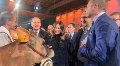 Turismo, Santachè a Cremona: “Fiere elemento strategico fondamentale per destagionalizzare comparto”